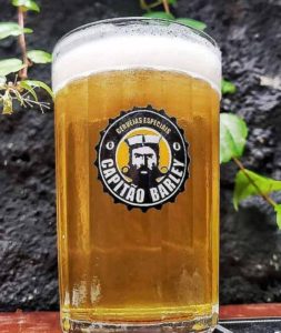 cerveja-artesanal-capitao-azacca